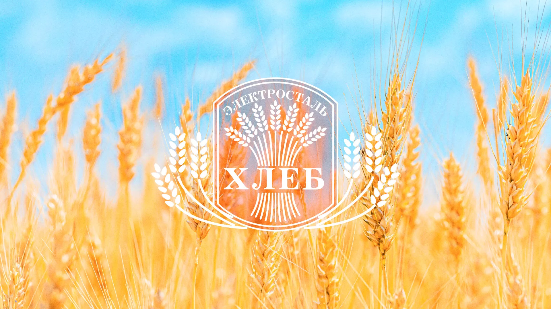 Создание сайта для хлебзавода в Новомосковске